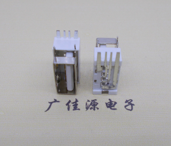 贺州USB侧立式短体10.0尺寸 侧插加宽脚5A大电流插座